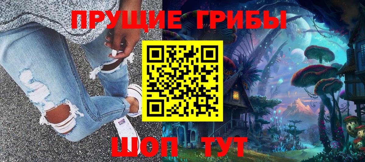 Псилоцибиновые грибы прущие грибы Томск