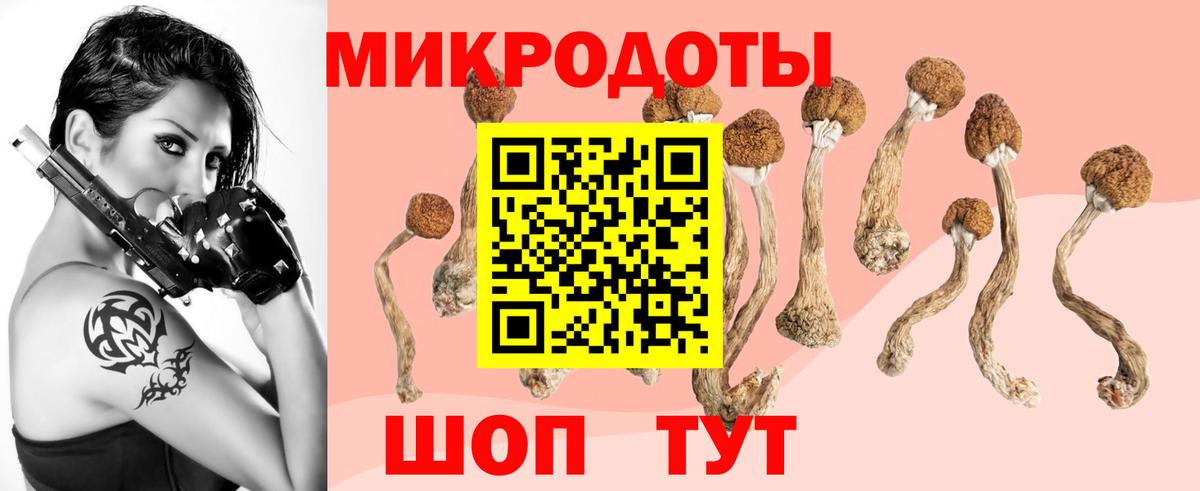 Томск  Псилоцибиновые грибы GOLDEN TEACHER  Вход с VPN 